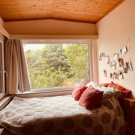 Woods House *