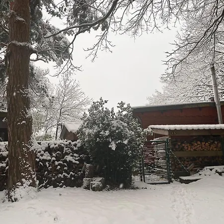 Woods House Apartmán