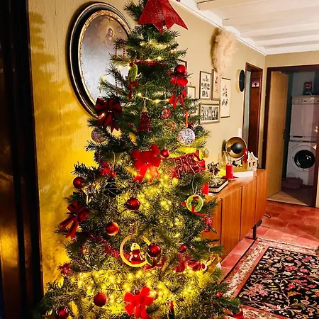 Woods House Apartment